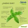 ENDULZANTE SPLENDA 700 SOBRES 1 G C/U